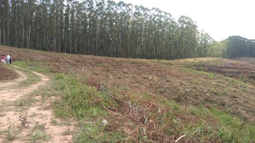 Imagem 13 de 14 de Terreno 1000m² A Venda Em Igaratá-sp Vista Para A Represa Er