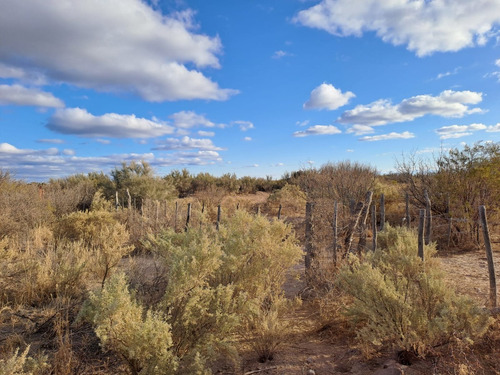 Venta Campo Mendoza (las Catitas) Apto Para Permisos De Agua, Sobre Asfalto