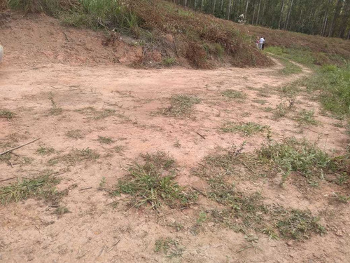 Imagem 10 de 14 de Terreno 1000m² A Venda Em Igaratá-sp Vista Para A Represa Er