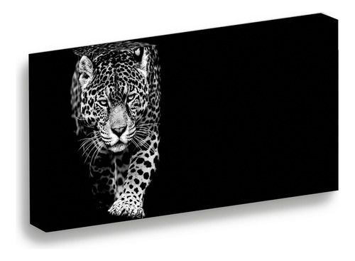 Cuadro Lienzo Canvas Moderno Jaguar Fondo Negro 25*30cm