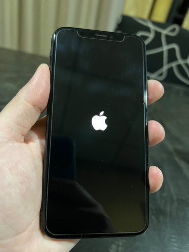 Iphone Xs 256 Gb Gris Espacial Liberado Impecable Gris Oscuro (Usado)