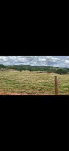 Imagem 13 de 14 de Fazenda Dupla Aptidão Município Brasilândia