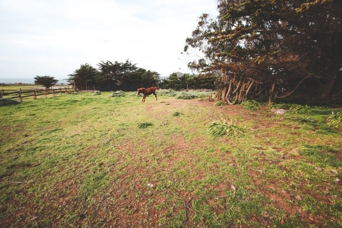 Pionero - Mirador Punta De Lobos