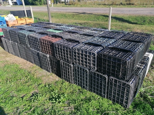 Cajones Plastico