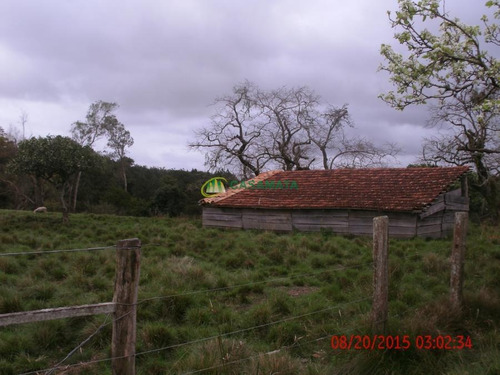 Rural 2 Dormitórios - Zona Rural, Santa Maria / Rio Grande Do Sul - 10087