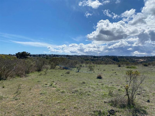 Parcelas En Algarrobo Terrenos De 5 Hectáreas Rol Propio