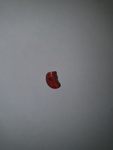 Hot Toys Terminator Dx10 Accesorios Cabeza (Usado)