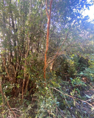 Sitio En Venta En Hualaihue