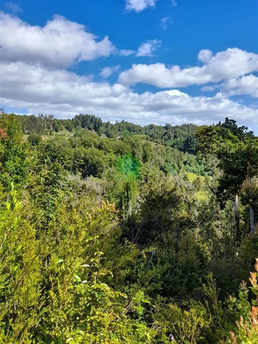 Imagen 3 de 4 de Campo Chiloé, Sector Mocopulli, Cercano A Castro