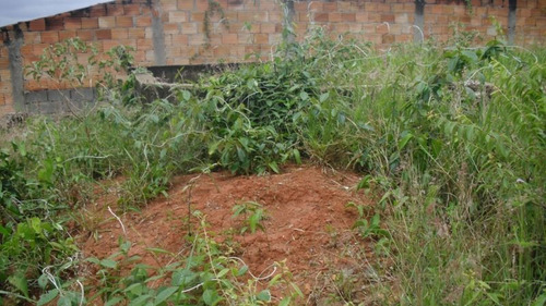 Imagem 6 de 8 de Lote Para Comprar No Canaã Em Belo Horizonte/mg - 1005
