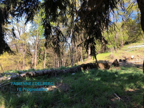Imagen 16 de 30 de Terreno Apto Desarrollo Lote Centro 6686 M2 - San Martin De Los Andes