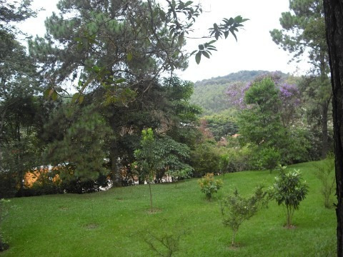 Rural - Venda - Santa Gertrudes - Cod. 81 - V81