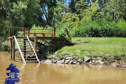 Imagen 6 de 30 de Venta 2 Casas Sobre 3 Lotes En Canal Del Este Delta Tigre