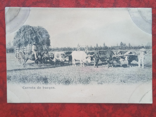 Argentina Campo Hacienda Agricultura 1900 Carreta De Bueyes
