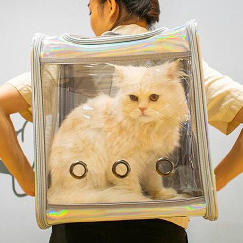 Bolsa Transparente Para Mascotas, Gatos, Perros, Diseño