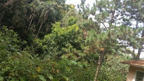 Venda Chácara Itapecerica Da Serra Brasil - 4094
