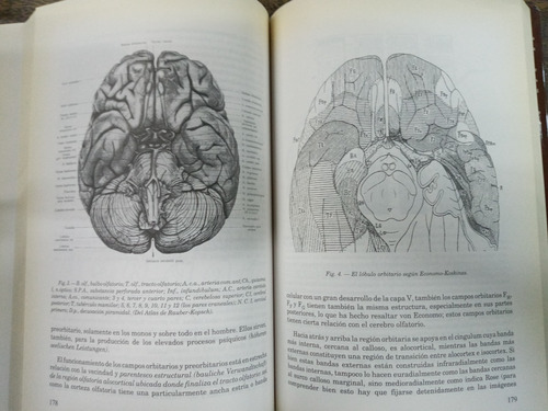 Imagen 6 de 7 de Diez Comunicaciones * Karl Kleist * Neuropsiquiatria *