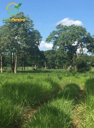 Imagem 5 de 9 de Fazenda À Venda Em Recursolândia -t0 - 3998 Hectares (dupla Aaptidão) - 1592