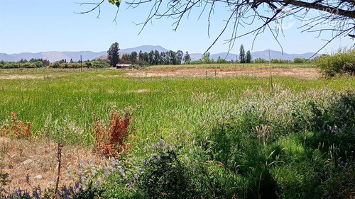 Parcela En Arriendo Anual Para Cultivo O Talaje En Linares