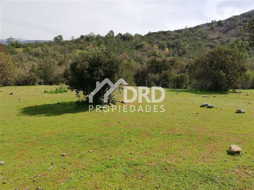 Terreno 109 Hectáreas Venta En Melipilla Tantehue Con Rol