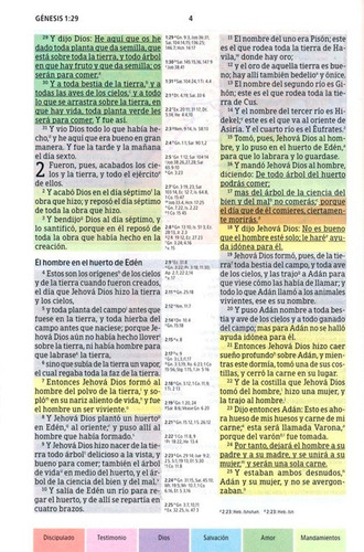 Imagen 6 de 10 de Biblia De Estudio Arcoiris - Reina Valera 1960 - Tapa Dura