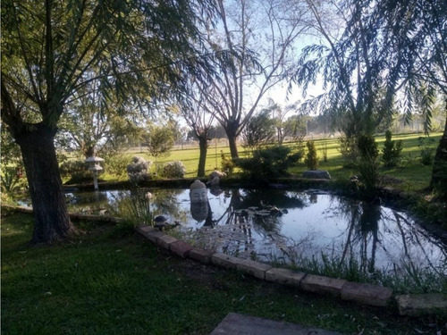 Imagen 6 de 30 de Casaquinta - Relax Total - Eventos De Día
