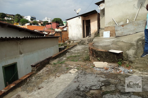 Imagem 8 de 14 de Casa À Venda No Dom Joaquim - Código 236494 - 236494