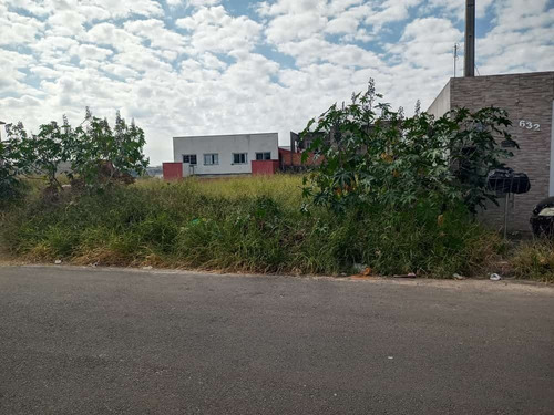 Imagem 6 de 7 de São Clemente Lote 200m2 8x25 Plano Entrada 20% E Saldo Em Ate 180x Pronto Para Construir - Te00075 - 68505984