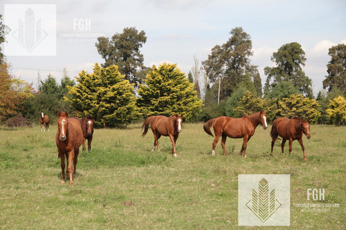 Lote Bosque En Venta En El Campo De Cardales Financia