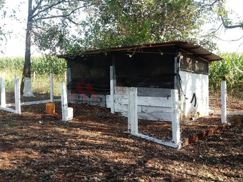 Imagem 7 de 14 de Oportunidade Sítio Criação Frangos Ibiporã - Mi265