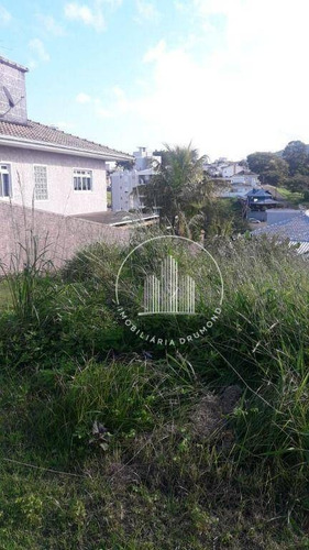 Imagem 13 de 20 de Terreno Em Cidade Universitária Pedra Branca, Palhoça/sc De 575m² À Venda Por R$ 482.000,00 - Te1010643-s