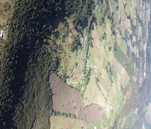 ¡espectacular Finca En Sibaté! 14 Fanegadas. Vía Pavimentada