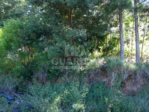 Imagem 4 de 10 de Terreno - Coronel Aparicio Borges - Ref: 38025 - V-38025