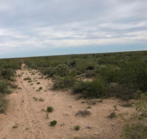Campo En Vaca Muerta Yacimiento Petrolero El Córcovo