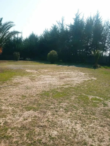 Parcela En Venta En Buín