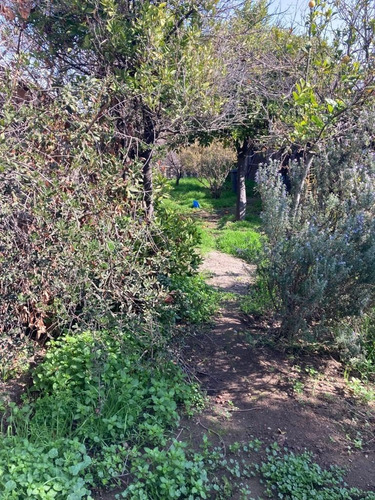 Imagen 5 de 8 de Oportunidad Terreno A Dos Cuadras Plaza De Puente Alto