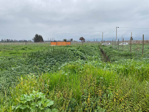 Imagen 16 de 19 de Bajó De Precio! Sitio En Parcelación De Isla De Maipo