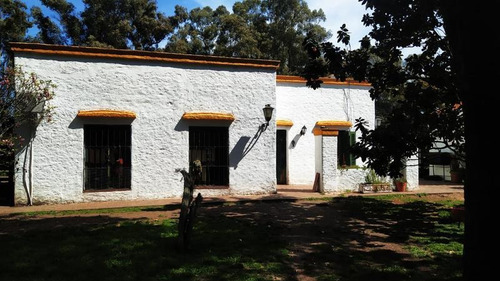 Campo C/ Caballerizas Y Casa Colonial - Villa Elisa