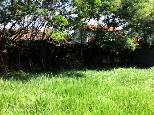 Imagem 5 de 15 de Terreno A Venda Em Pitas - Cotia - 29308