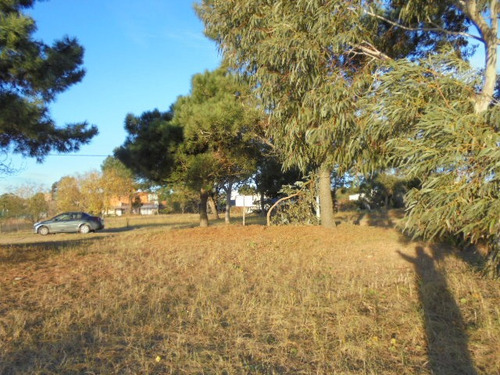 Terreno En Venta En Fraccion Iii
