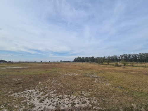 Imagen 2 de 4 de Venta De Lotes Quintas En Villa Ruiz. Escritura!