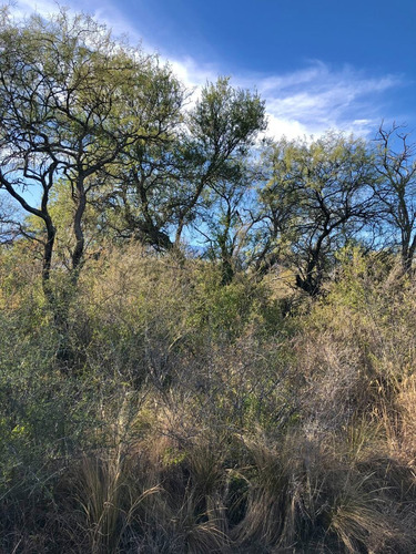 Imagen 12 de 23 de Lote 4553 M2 En Abracaral Reserva Ecológica - Posesion / San Javier - Traslasierra