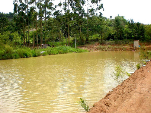 Imagem 8 de 14 de Maravilhoso Sitio 6.7 Alqueires / Com Açude