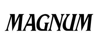 Relógio Masculino Magnum Em Couro Ma32952p Com Calendário