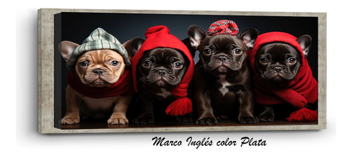 Cuadro Canvas Cachorros Bull Dog Navidad Marco Inglés 120x60