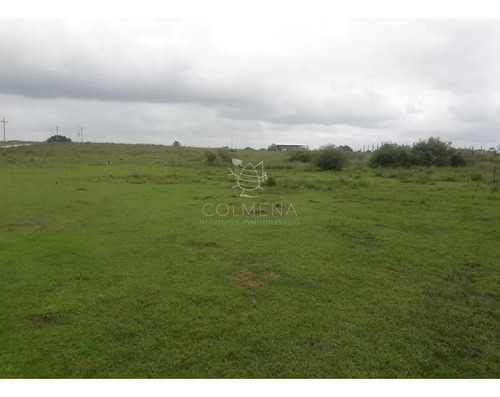 Campo De 5 Has Con 5891 M2