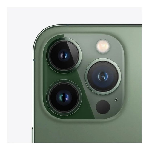 Iphone 13 Pro 128gb 12 Meses De Garantia Verde (Reacondicionado)
