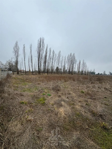 Parcela En Venta En Teno