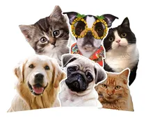 Comprar Stickers Calcos Vinilos Premium - Personalizados X50u En 5cm