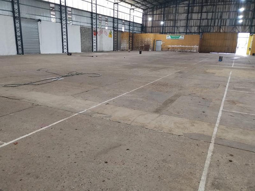 Deposito De 7.000m2 En Planta Con Frente Sobre Avda Antartida Argentina De 100 Ml, Techos Metalicos
